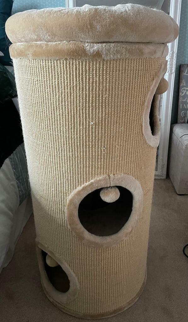 gumtree cat scratcher